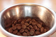 Pet Food Supply Monitor Using Load Cells and Phidgets - Part 1