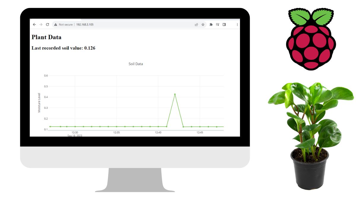 Display Plant Data on Website