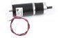 12V brushed DC motor
